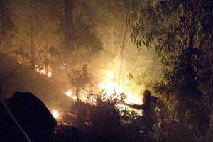 Fue dominado el incendio que se registró esta madrugada en el cerro El Toro en Piriápolis