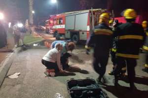 Bomberos rescataron a una perra en el incendio de Manantiales