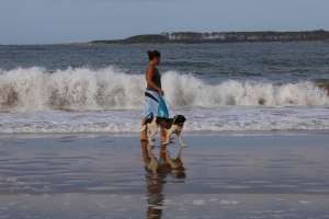 IDM insta a comunicarse con Prefectura ante la presencia de mascotas en playas no habilitadas