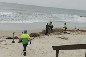 cuadrillas municipales retiraron 400 bolsas de resaca en la costa de piriápolis