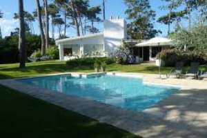 Contribuyentes extranjeros pidieron acogerse a beneficios impositivos