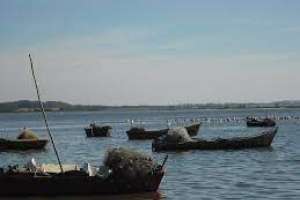 DINARA autoriza todas las renovaciones de pesca artesanal en lagunas atlánticas y afluentes