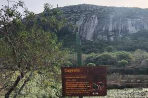 Denuncian estado “deplorable” de animales de la ECFA con aparente “omisión” de asistencia veterinaria