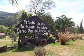 Técnico de la Estación de Cría calificó de "maliciosas" las denuncias con posibles "fotomontajes" sobre estado de animales 