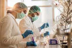 6 fallecimientos y 1.938 casos nuevos de Covid-19; Maldonado tuvo 114 positivos