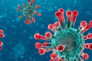 2 fallecimientos y 256 casos nuevos de Covid-19; Maldonado tuvo 14 positivos