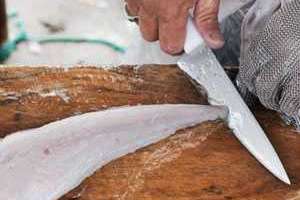 En Maldonado no falta pescado y hay una amplia variedad para estos días; los precios se han mantenido