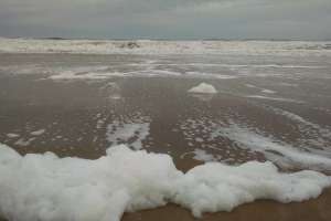 Seminario Internacional en CURE Maldonado