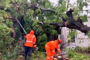 UTE trabaja aceleradamente en restablecer el servicio eléctrico a los miles de afectados en Maldonado por el temporal