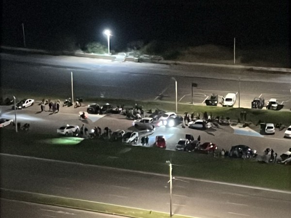 Denuncian picadas y...