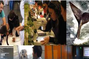 CURE anuncia Semana de las ciencias