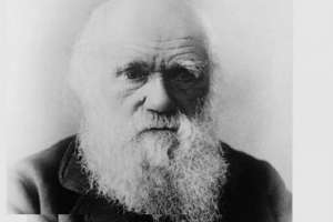 En 2023 se cumplen 190 años del arribo de Darwin a Maldonado