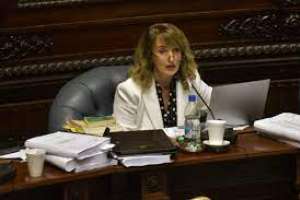 Se aprobará este martes en comisión del senado el proyecto sobre tenencia compartida