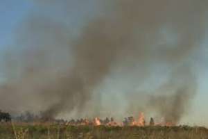 Incendio en cercanías de complejo Fassano fue rápidamente dominado, según informó bomberos
