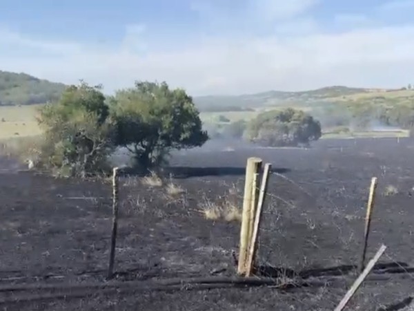 Bomberos controlaron...