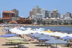 Antía sobre la temporada “no va a ser la mejor, pero Maldonado está fuerte”