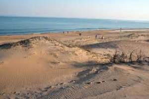 FA ha recogido 750 firmas para recurrir ante el parlamente la aprobación del PAI Marina Beach 