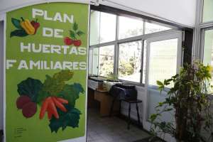 Maldonado Solidario: Comenzó la entrega de semillas para el Plan de Huertas Familiares