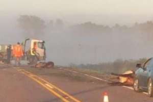 Un camión mató a 10 animales cerca de Aiguá; no hubo personas heridas