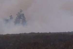 Incendio de campo arrasó con unas 10 hectáreas en Los Ceibos