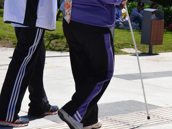 Día del Bastón Blanco