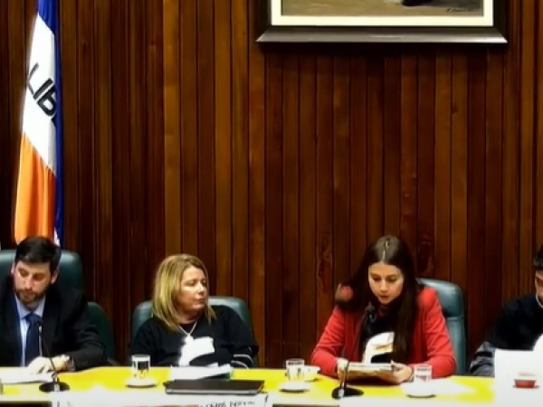 Tres de cada cuatro denuncias de violencia contra niños y adolescentes involucran a mujeres