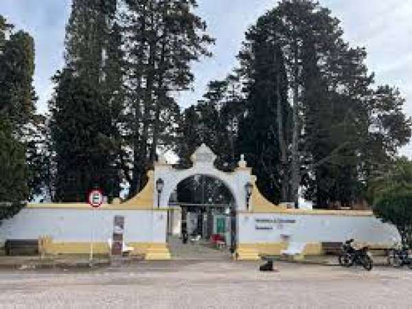 Llamó la atención movimiento en la necrópolis local en lo previo y durante el Día de los Difuntos