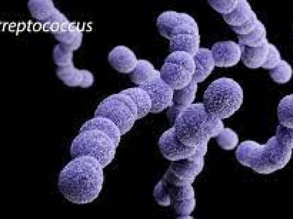 Murieron ocho personas en Uruguay en el último mes por la bacteria estreptococo, informó el MSP