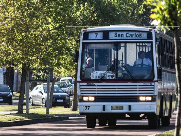 Disminuyen ómnibus por Nochebuena y Navidad