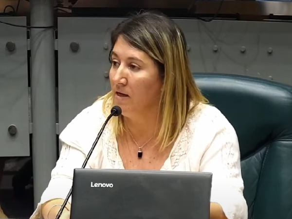 Piden crear en Maldonado una comisión especial que entienda sobre pirotecnia