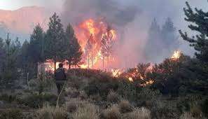 Todo el país está en riesgo "muy alto" de incendio forestal