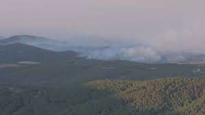 Incendio de campo en ruta 9, próximo a Pan de Azúcar estaba controlado anoche