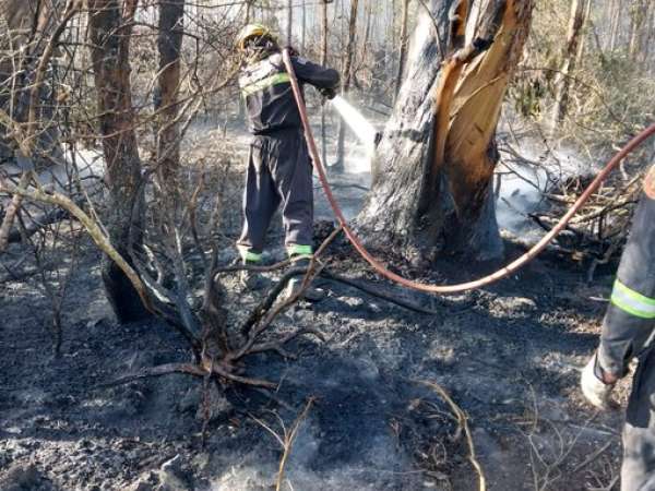 Ejército y Fuerza Aérea apoyan a Bomberos en zona de Camino a Igam; el foco fue extinguido