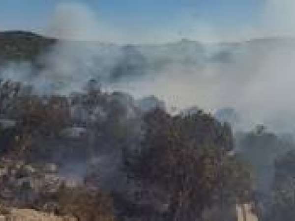 Bomberos enfrentó varios incendios en Maldonado; el más importante en cercanías de pueblo Edén