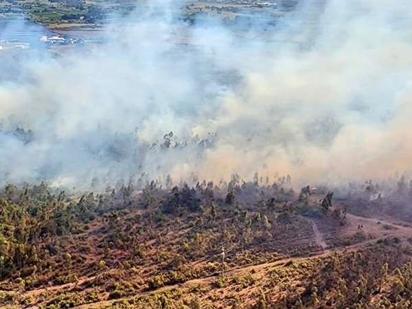 Bomberos realiza tareas de enfriamiento en focos de Pueblo Edén y Camino Lussich; están controlados