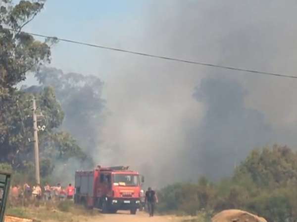 El fuego estuvo a 10 metros de la escuela No.37 en incendio en el pueblito obrero de Piriápolis; más de 100 personas colaboraron con bomberos y maquinaria municipal