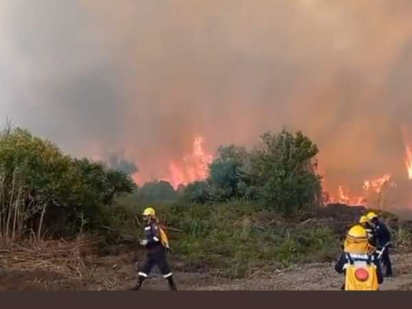Incendio devoró área forestal cerca del barrio Asturias en San Carlos