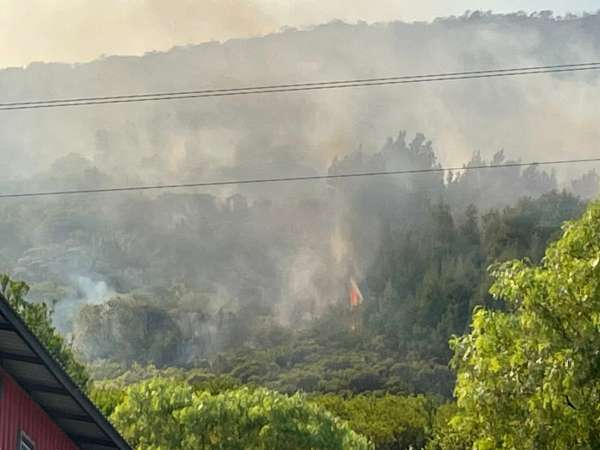 Entre 70 y 80 hectáreas fueron consumidas por el fuego