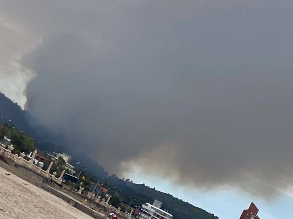 Así es la situación a esta hora en el incendio del Cerro del Toro en Piriápolis 