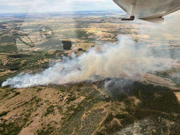 Otro incendio se desató en proximidades en ruta 12 casi en el límite con Lavalleja; estaría controlado