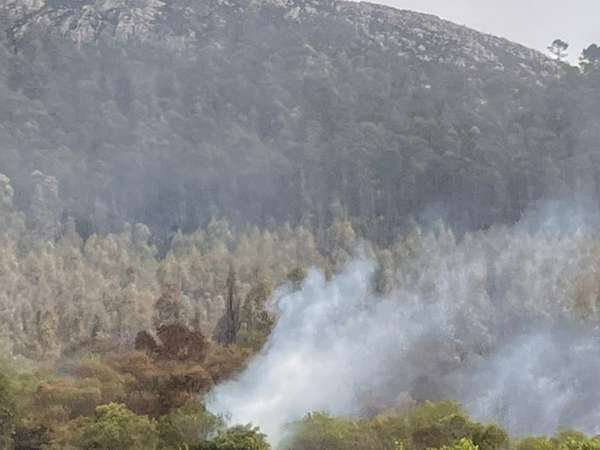 Incendio en Cerro del Toro quemó 310 hectáreas; está "controlado totalmente", dijo Ricardo Riaño 