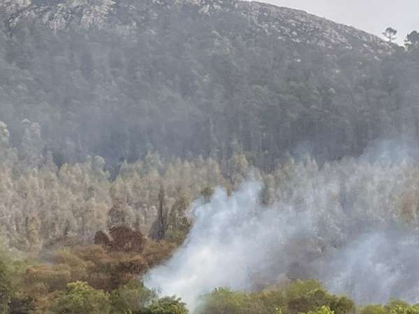 incendio en cerro del toro quemó 310 hectáreas; está 