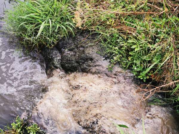 vecinos denuncian presencia de aguas servidas en paseo de la aguada; imm dará solución al problema en las próximas horas