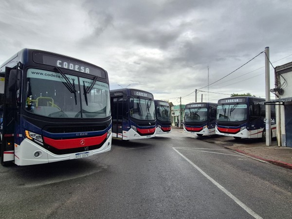 Codesa incorporó 5 unidades de última generación con motores no contaminantes
