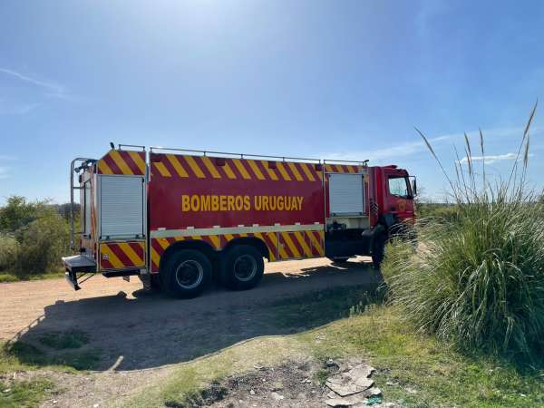 Balance de Bomberos: 1.829 incendios forestales en todo el país y 35 focos por día 