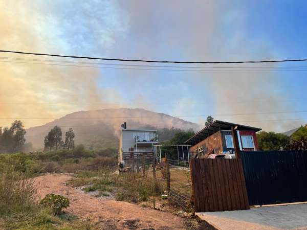 Ministerio de Ambiente planea recomponer el hábitat del Cerro del Toro mediante flora autóctona
