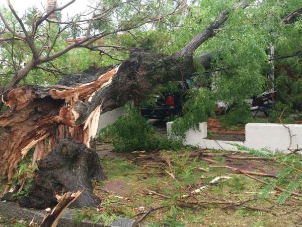 Tromba marina tocó tierra en Piriápolis; dejó árboles y tendido eléctrico caídos, voladura de techo, casas y vehículos dañados