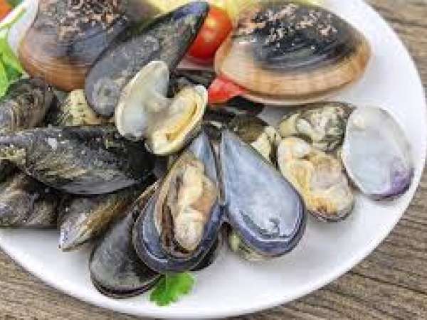 Se levantó la veda para el consumo de bivalvos en Maldonado y Rocha 