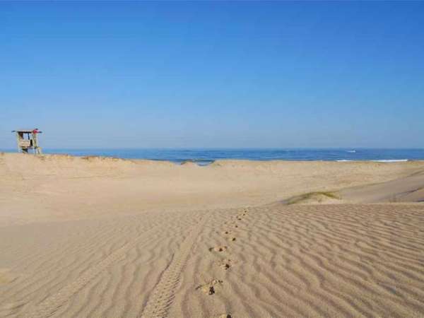 Fue identificado el cuerpo hallado en un médano de Playa Brava en diciembre: pertenece a una mujer que estaba ausente