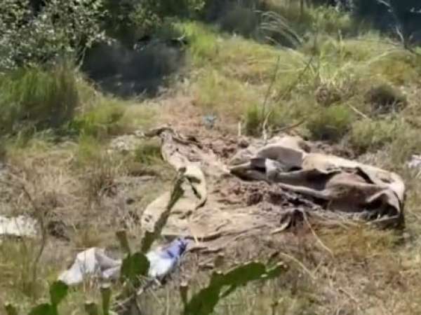Doble homicidio: la cal aceleró el proceso de descomposición de los dos cuerpos hallados en el Chihuahua